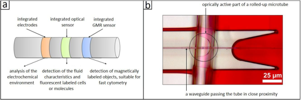 Fig: (a) Schematic drawing of a multi-functional rolled-up nanomembrane. The tube offers three different sensor functionalities (electrical, optical and magnetic) for the simultaneous detection of different properties of an analyte. (b) Optical wave guide to stimulate and analyze different modes. (Published by S. Böttner et al. in Applied Physics Letters)