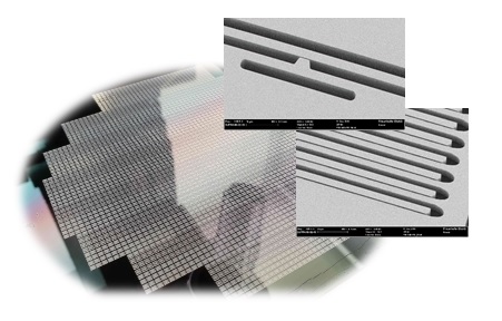REM-Aufnahmen: Details der Sensorstruktur mit sub-µm Detektionstrenches und flexiblen Stoppern